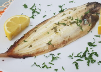 24° settimana gravidanza