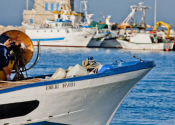 Bonus Ristorazione ittiturismi