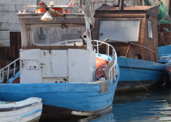 Comitato Pescatori Calabria