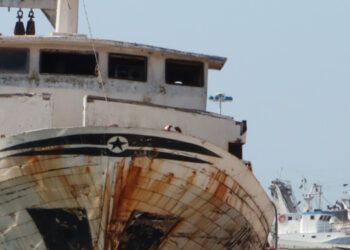 DDL Bilancio Alleanza