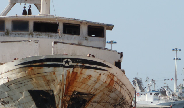 DDL Bilancio Alleanza