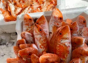 Incrementare efficienza filiera