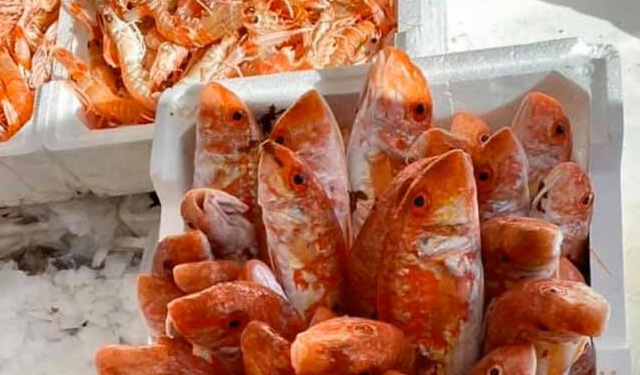 Incrementare efficienza filiera