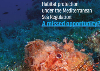 Oceana pesca Mediterraneo