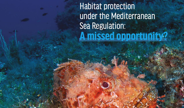 Oceana pesca Mediterraneo