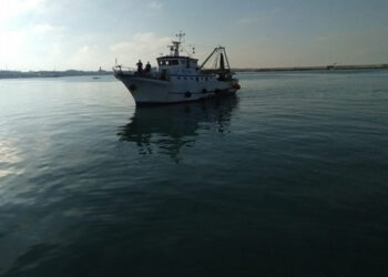 Piano gestione WestMed