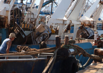 Plafond giornate pesca