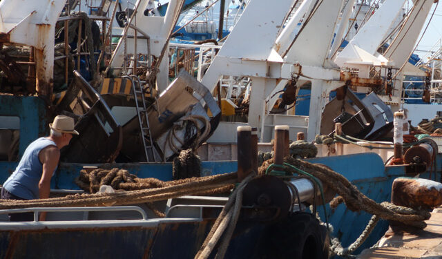 Plafond giornate pesca