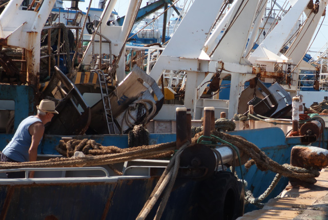 Plafond giornate pesca