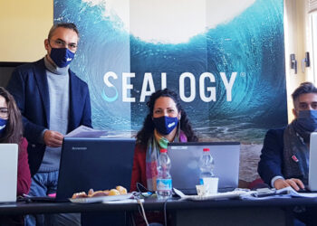 SEALOGY® Digital Preview