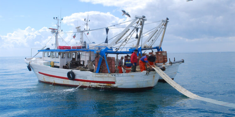 bandi pesca covid sicilia