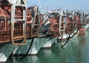 contratto imbarcati natanti cooperative pesca