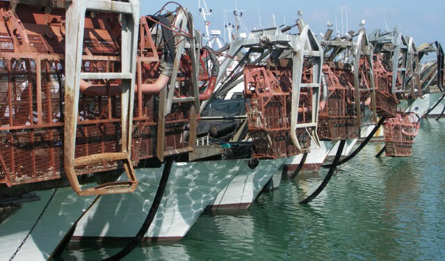 contratto imbarcati natanti cooperative pesca