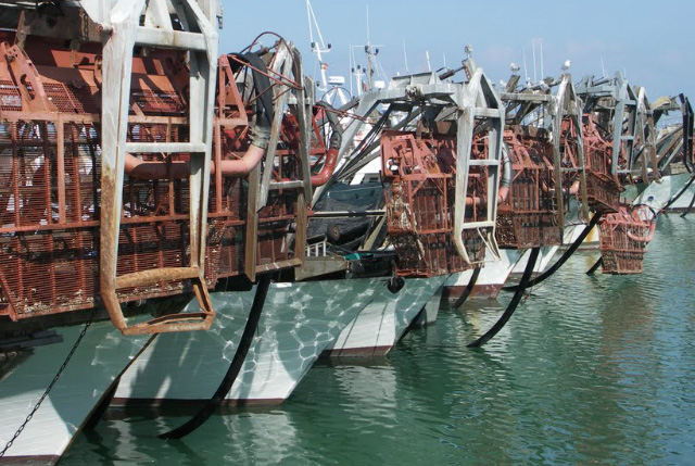 contratto imbarcati natanti cooperative pesca