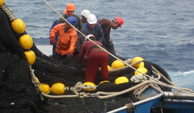 filiera ittica sostenibile