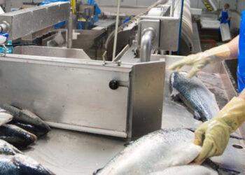 industria pesca Canada