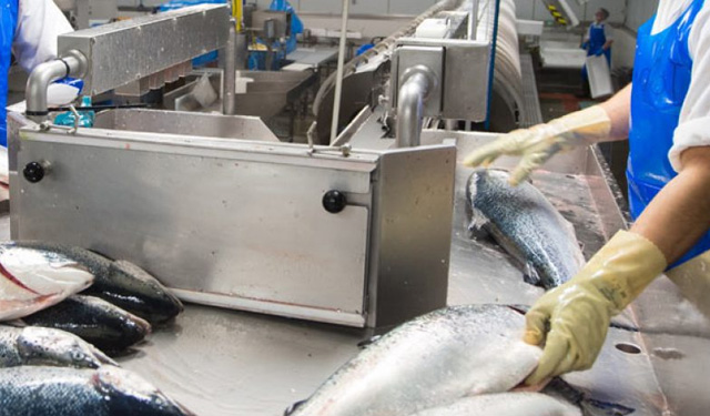 industria pesca Canada