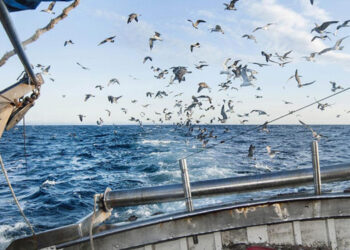 italia zee mediterraneo