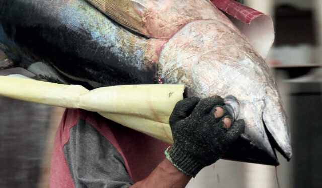 pesca illegale oceano indiano