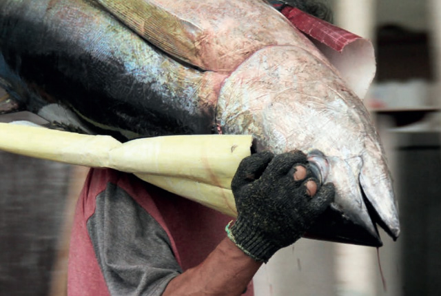 pesca illegale oceano indiano