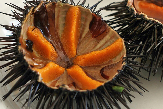 pesca ricci mare Sardegna