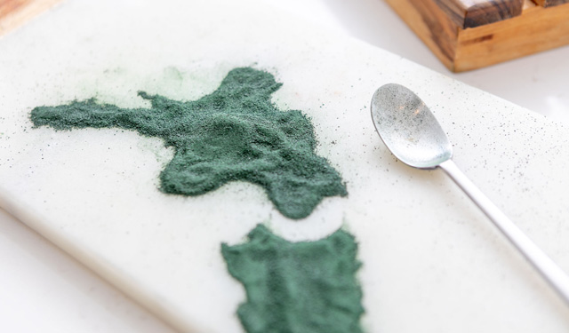 Allevamento Spirulina Nuova Zelanda