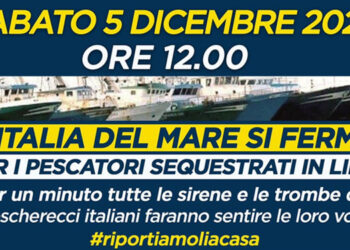 Viviani marinerie italiane