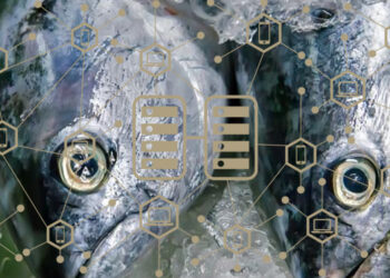 blockchain GS1 Italy