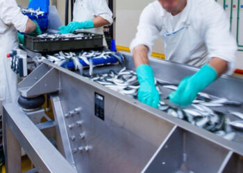 imprese ordini clienti