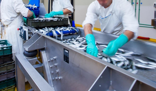 imprese ordini clienti