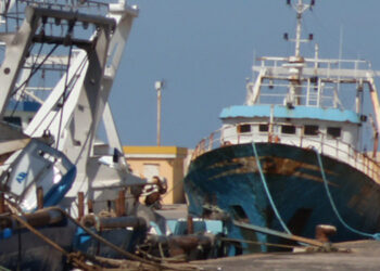 pesca nasello Mediterraneo