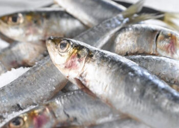 pesce vigilia Natale