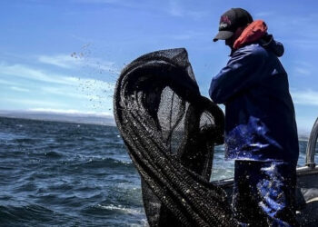 piano emergenza Brexit pesca