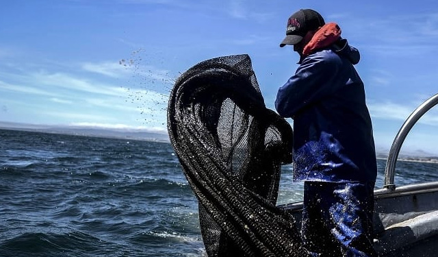 piano emergenza Brexit pesca