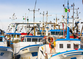 riduzione pesca Mediterraneo 2021