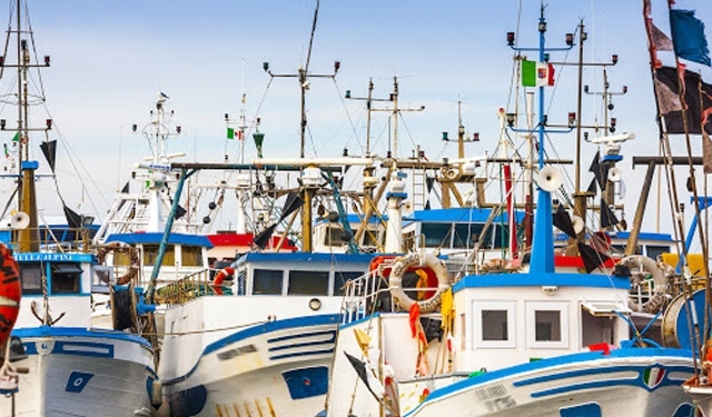 riduzione pesca Mediterraneo 2021