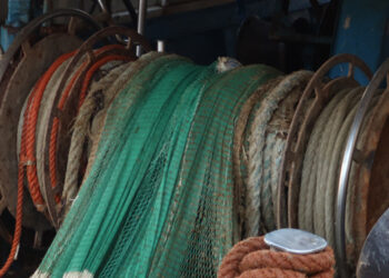 riduzione sforzo pesca