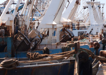 pesca acque internazionali