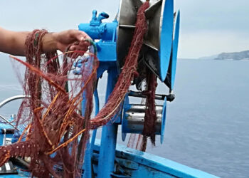 tagli giornate pesca