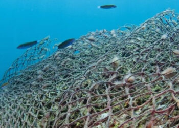 Perse ogni anno 400 tonnellate di corde nelle acque norvegesi