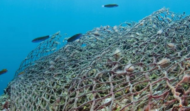 Perse ogni anno 400 tonnellate di corde nelle acque norvegesi