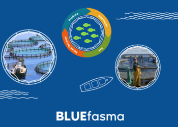 BLUEFASMA