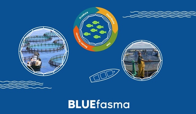 BLUEFASMA