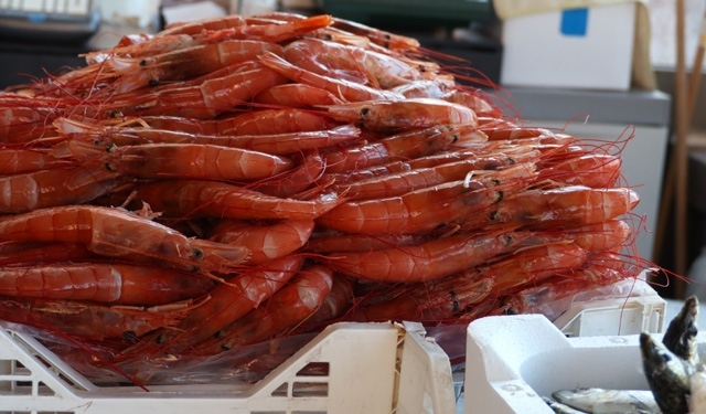 Crea emergenza Covid-19 settore ittico italiano