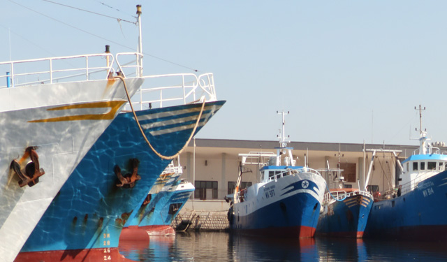 Pesca Siciliana Assessore Scilla