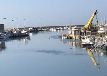 canoni demaniali marittimi