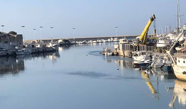 canoni demaniali marittimi