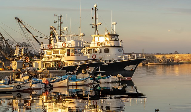 flotta peschereccia pandemia COVID-19