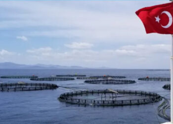 turchia acquacoltura