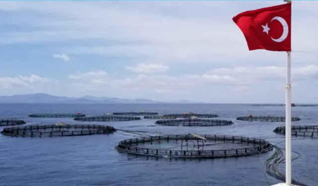turchia acquacoltura